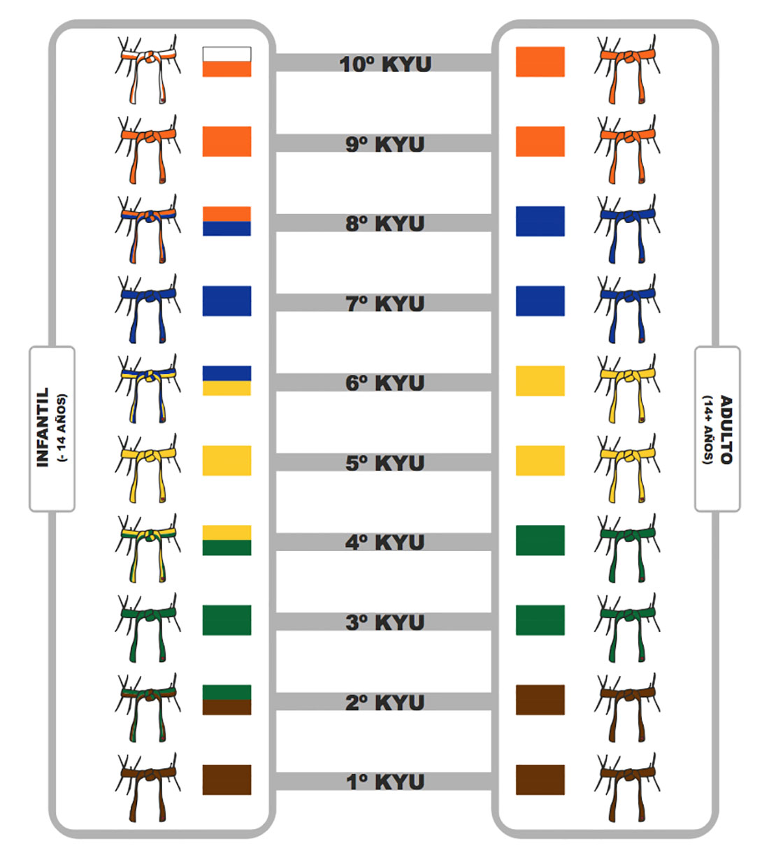 espejo de puerta golondrina Terminología Exámenes y Grados | Federación Kyokushinkai España :: Shinkyokushinkai