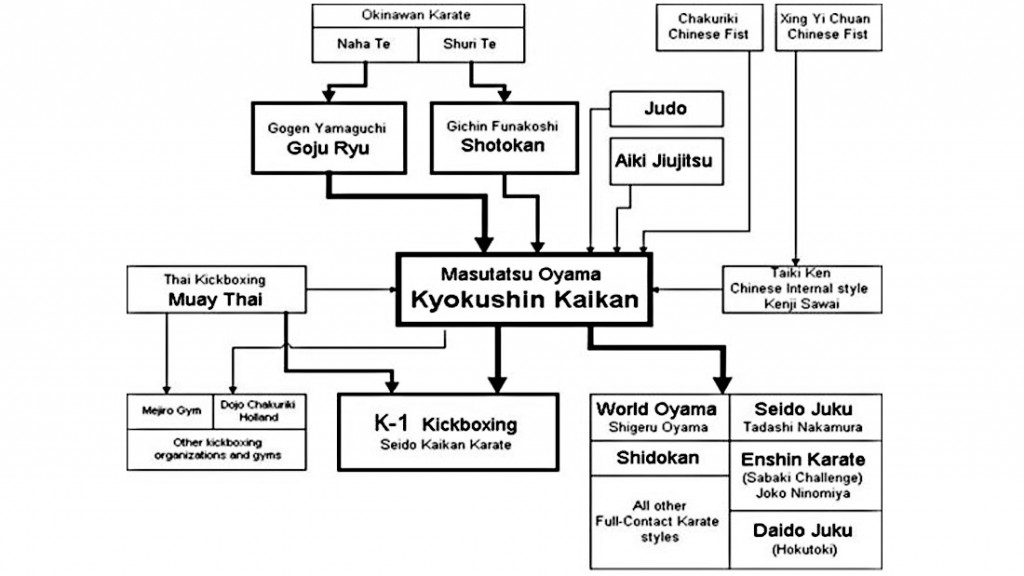 fke_kyokushin_evolution