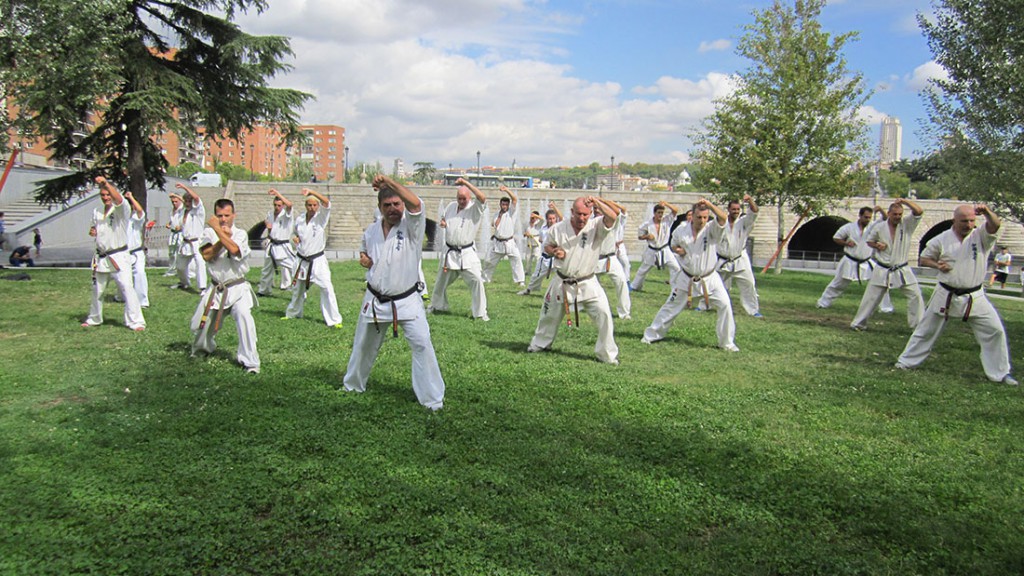 2014_09_20_fke_shinkyokushinkai_madrid_rio_jodan_uke