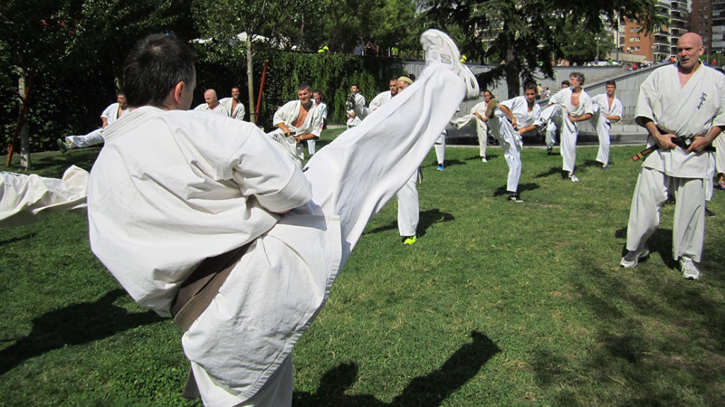 2014_09_20_fke_shinkyokushinkai_madrid_rio_pascual