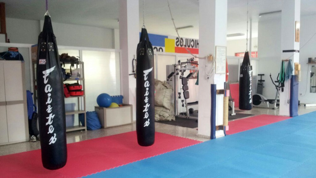 fke_takayama_dojo_sala2